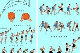 篮球基础到实战教学精品教学视频