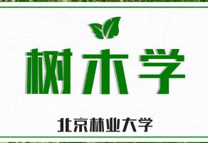 北京林业大学-树木学课程
